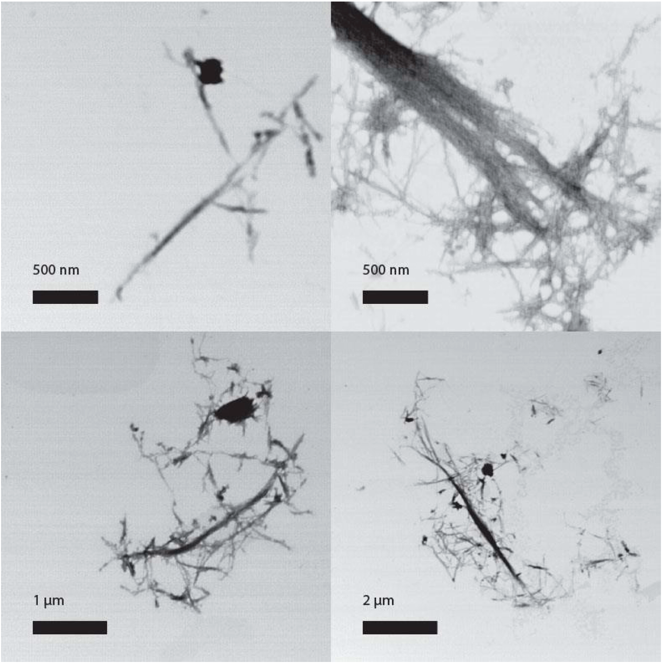 example image